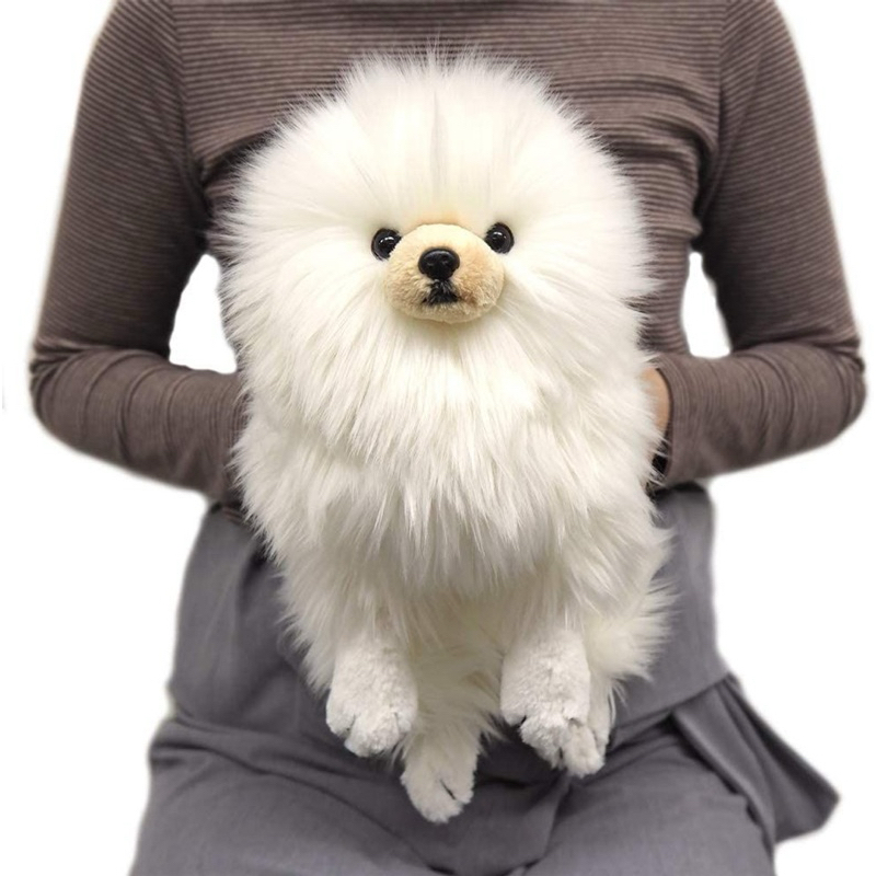Sunlemon Pomeranian Poodle Hiwawanko / Boneka Anjing