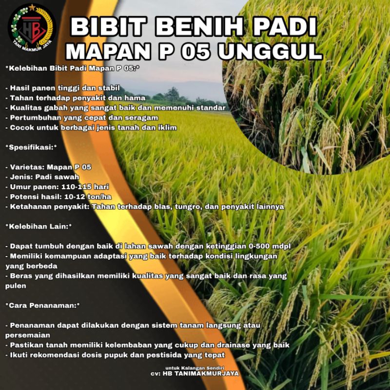 BIBIT BENIH PADI MAPAN P05 UNGGUL KEMASAN 1KG