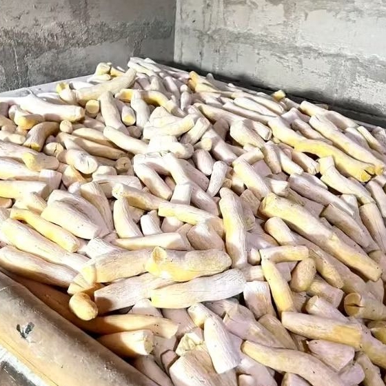 

tape singkong kuning mentega 1kg kemasan toples thinwall