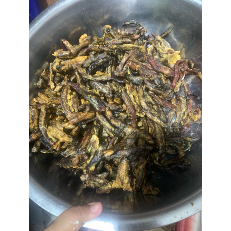 

sale goreng asli aceh jaminan legit dan manis