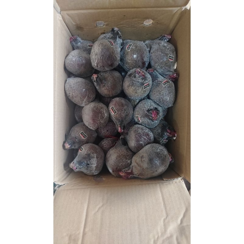 

buah bit 1 kg lokasi di palembang