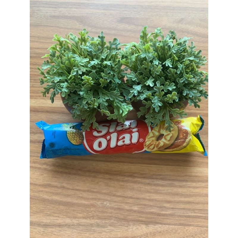 

SLAI OLAI NANAS 128G