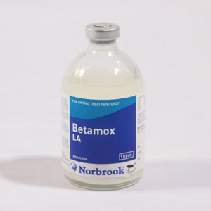 betamox LA 100 ml - Amoxycyllin 150 mg/ml