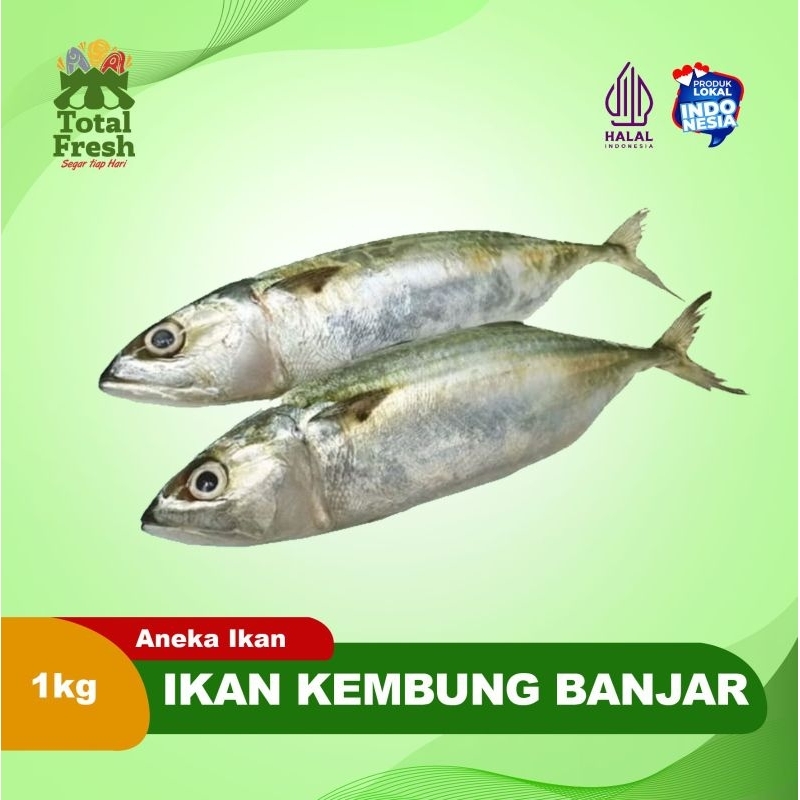 

Ikan Kembung Banjar [900Gram - 1000Gram]