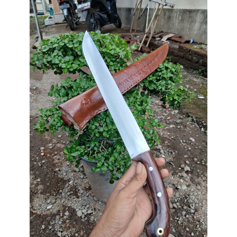 pisau sembelih kambing ayam terbaru