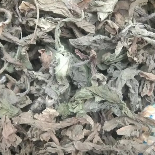 

Daun Tapak Liman Kering isi 500 Gram elephantopus scaber