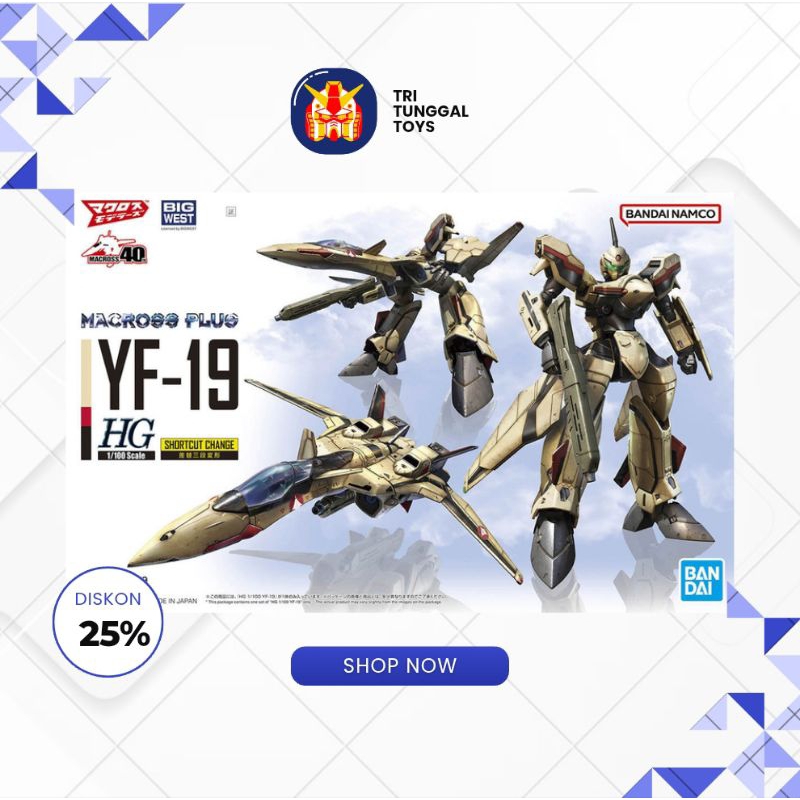 HG 1/100 Macross Plus YF-19 Gundam Bandai