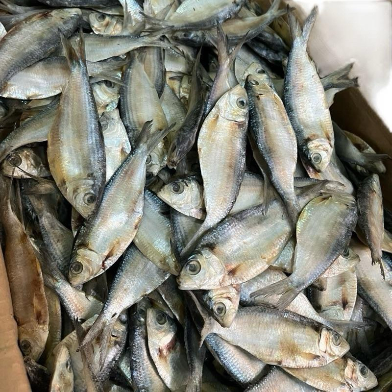 

COD Ikan Asin Tembang Murah Enak 1kg Dan 1/2kg