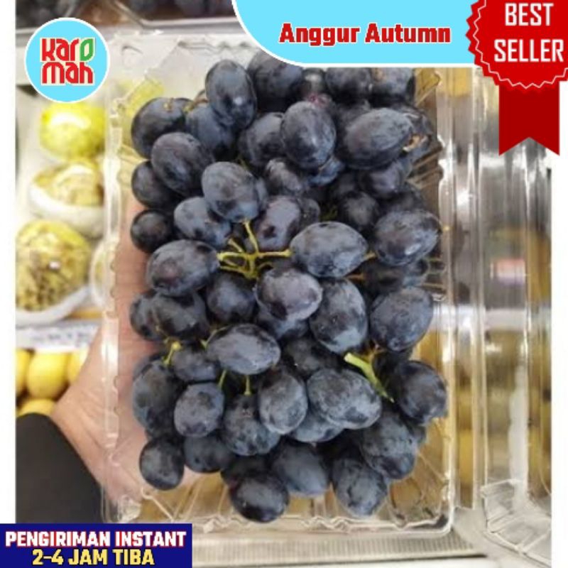 

BEST SELLER BUAH ANGGUR HITAM AUTUMN 500 GR FRESH NON BIJI MANIS / BUAH ANGGUR SEGAR INSTANT DELIVERY