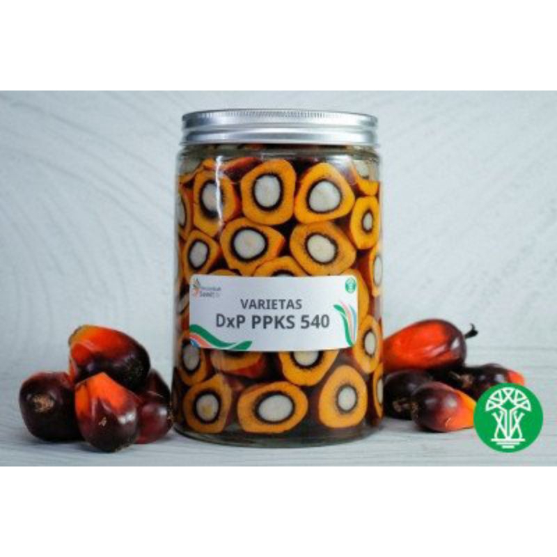 KECAMBAH SAWIT PPKS 540 BERSERTIFIKAT