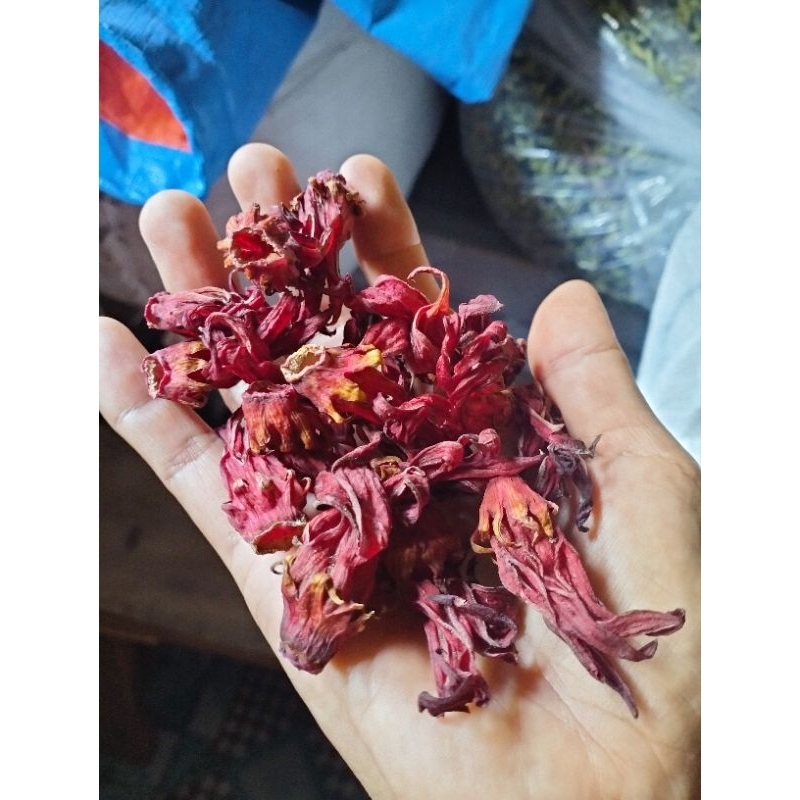 

Rosella flower