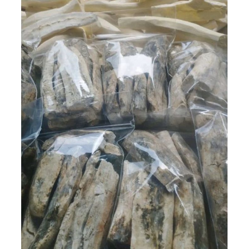 

Gatot singkong berkualitas super singkong Gatot super