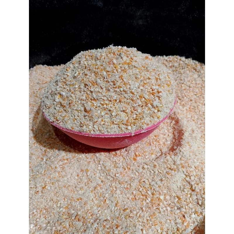 jagung giling pakan ternak