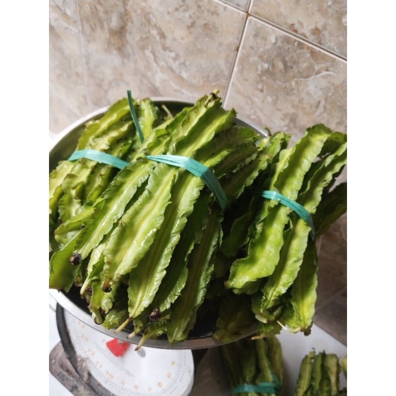 

kecipir 1 ikat murah meriah