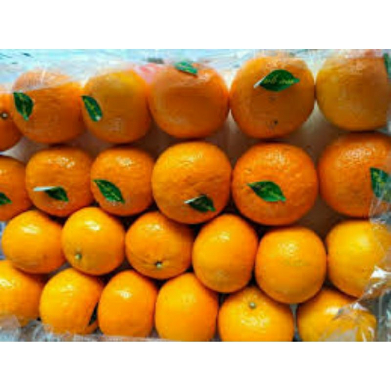 

jeruk Mandarin segar by lokalfruit