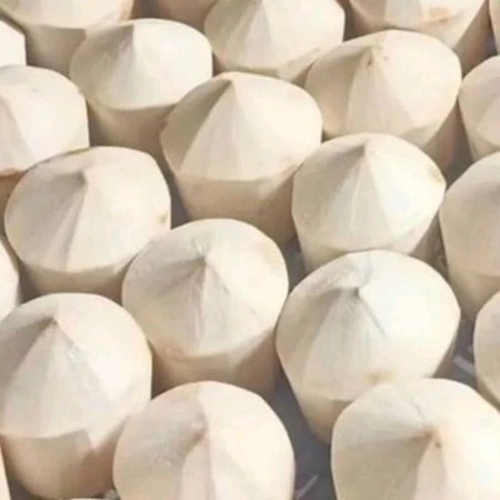 

Kelapa Muda Segar Kupas