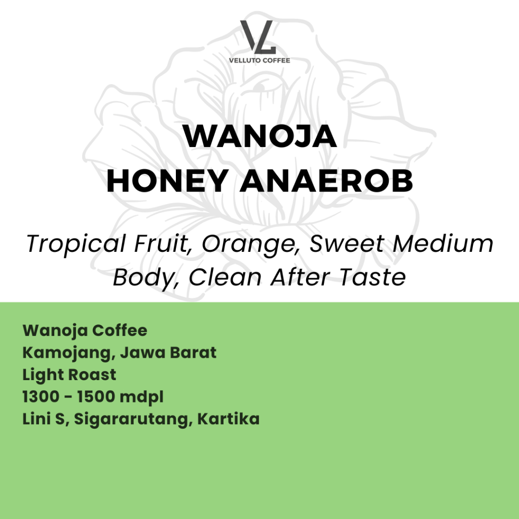 

Kopi Arabika Wanoja Honey Anaerob - Single Origin Kamojang