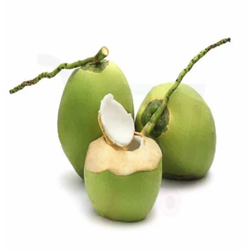 

KELAPA hijau MUDA