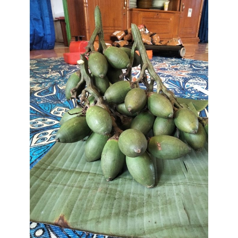 

Buah Pinang Muda Beserta Tangkainya Lebih Segar isi 35