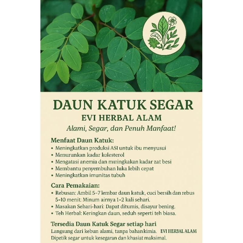

DAUN KATUK SEGAR 100gram