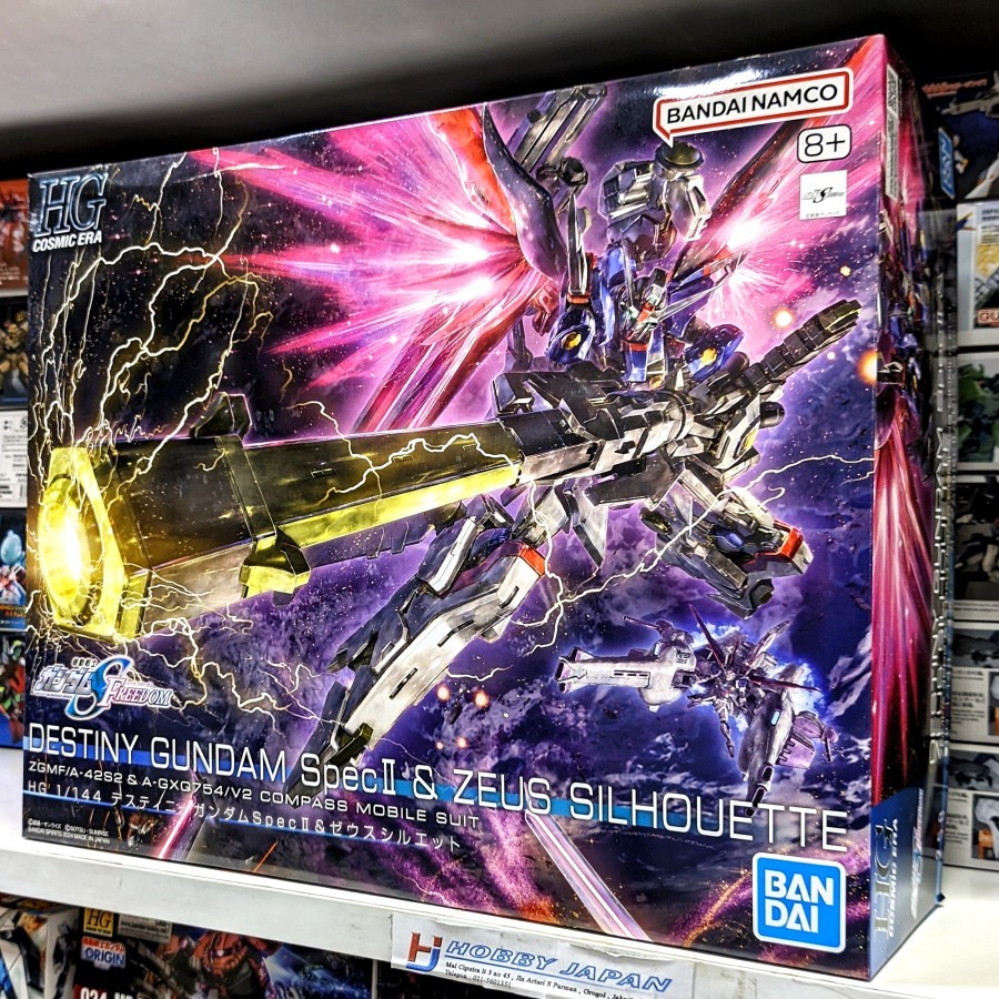 HG Destiny Gundam Spec II & Zeus Silhouette