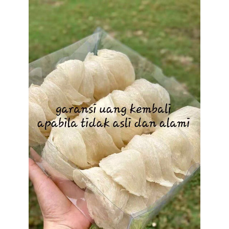

Sarang Burung Walet Mangkok Krem Bersih Proses Alami Natural 100 gram