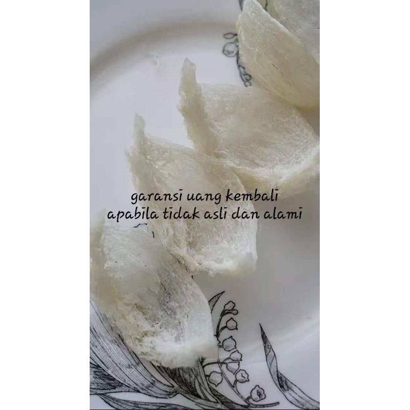 

Sarang Burung Walet Mangkok Besar Super Bersih Proses Alami Natural 100 gram