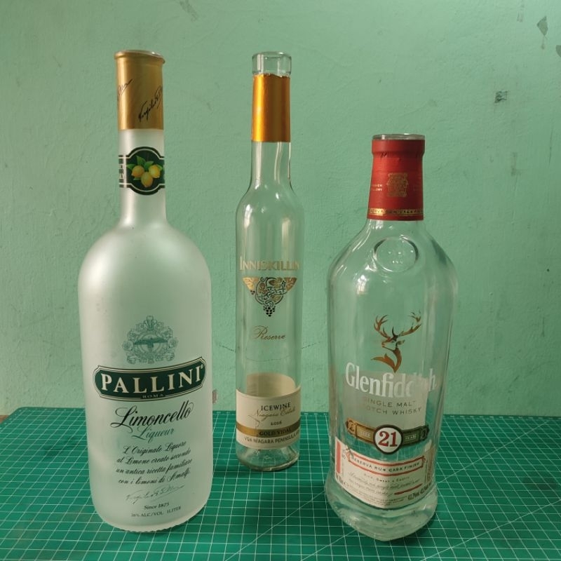 SET BOTOL BEKAS HIASAN DINDING RUMAH CAFE POT TANAMAN AIR