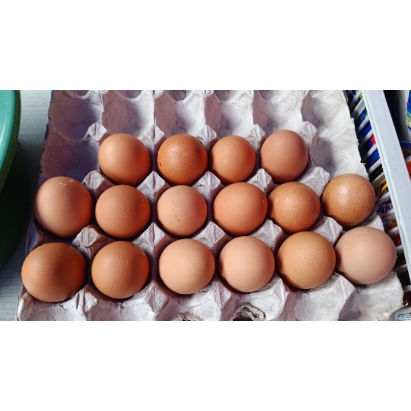 

TELUR AYAM FRESH 1KG/TELUR AYAM NEGRI