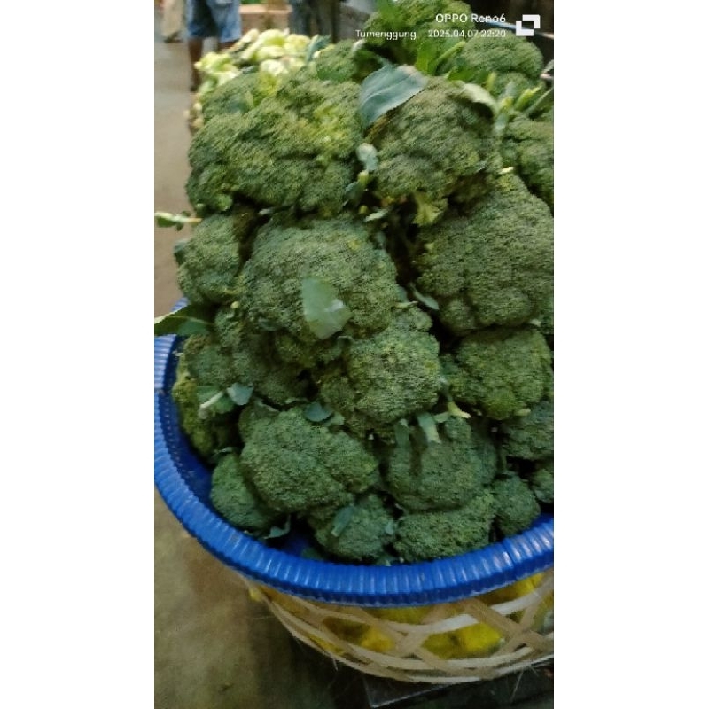 

JYOTI BROKOLI 250 GR