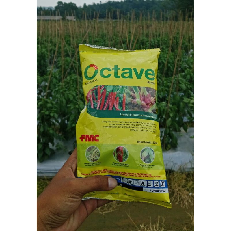 Fungisida Octave 50WP