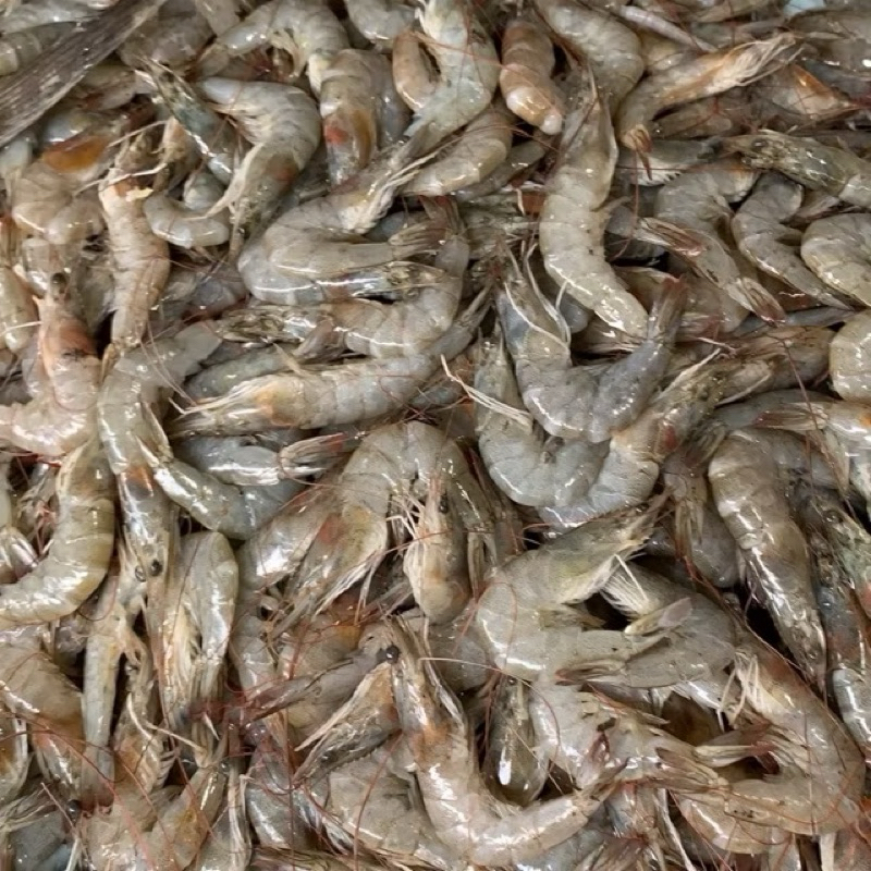 

UDANG PANAMI KECIL 250g 500g 1kg