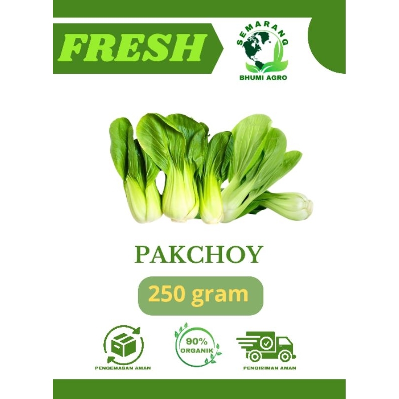 

Sayur Pakchoy/ Pakcoy/ Bok Coy Segar & Organik – 250gr | BHUMI AGRO