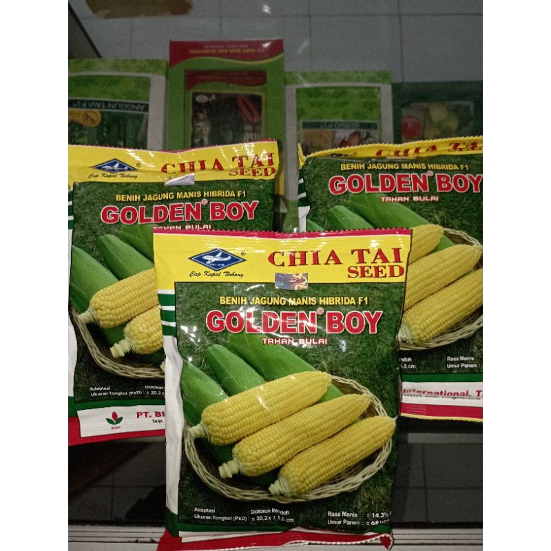 

BENIH JAGUNG MANIS GOLDEN BOY 250GR * TAHAN BULAI