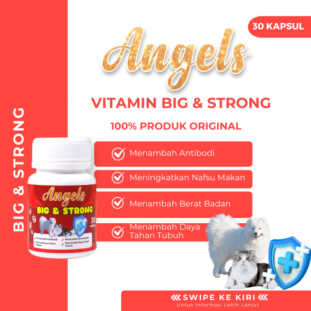 Angels Big & Strong Vitamin 30 Capsul Penggemuk Badan Kucing Anjing Suplemen Body Fat Cat Dog Gemuk