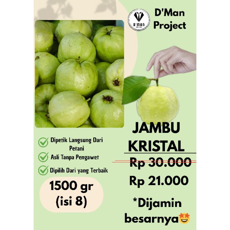 

Jambu Kristal Fresh kategori "A" 1,5 KG (1500gram) - Dipetik Langsung Dari Petani, Tanpa Pengawet, Super Segar!