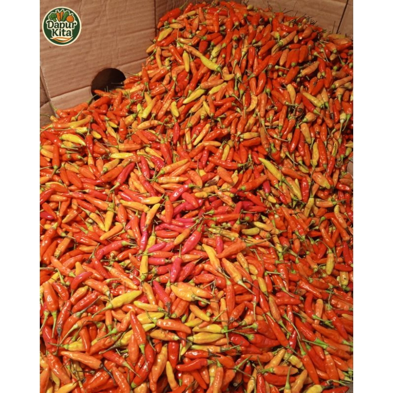 

cabe rawit merah ori fresh 500gr