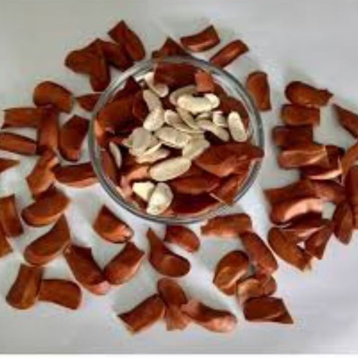 

Biji Mahoni Kering 50 Gram