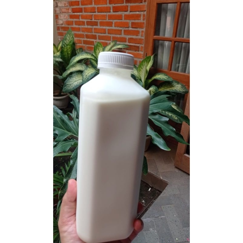 

yoghurt plain 1 kg