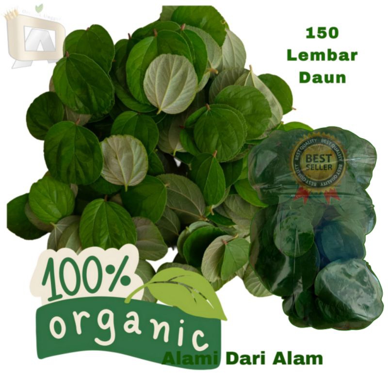 

Daun Bidara super fresh 100% Organik 150Lembar Daun (Baca Deskripsi)