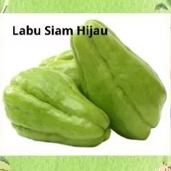 

Labu Siam Besar Per pcs