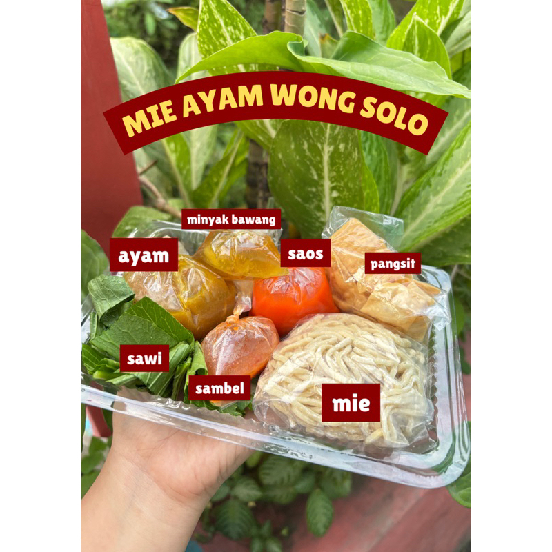 

Paket Mie Ayam Frozen Komplit – Bumbu Asin, Minyak, & Topping Ayam Kuah
