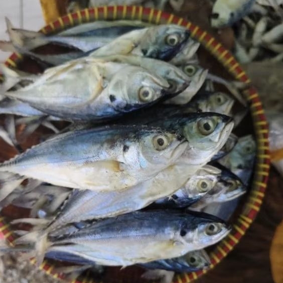 

ikan asin cenceru/ ikan asin kotok kering