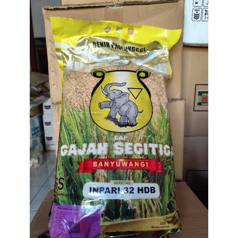 Benih Padi Inpari 32 Gajah Segitiga Banyuwangi