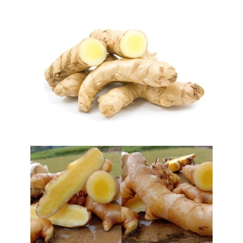 

Kunyit putih sudah bersih 1kg