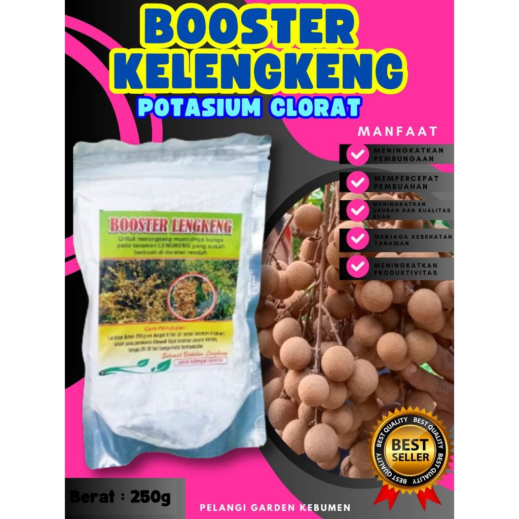 DIJAMIN ASLI ! Booster Kelengkeng Kcl03, Booster Kelengkeng Kclo 3 Murni, Booster Kelengkeng Kclo 3