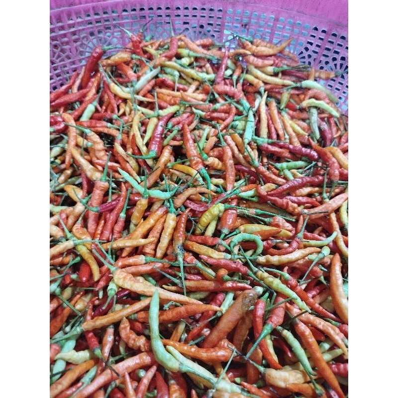 

Cabe rawit kecil 1 kg/Bahan dapur/Cabe rawit