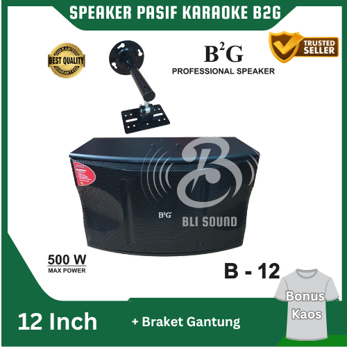 PAKET BUNDLING SPEAKER PASIF KARAOKE B2G 12 INCH B 12 + BRACKET GANTUNG