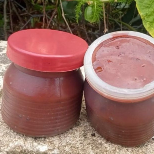 

Petis Ikan Khas Pantura Lamongan|Petis Ikan Premium Khas Lamongan