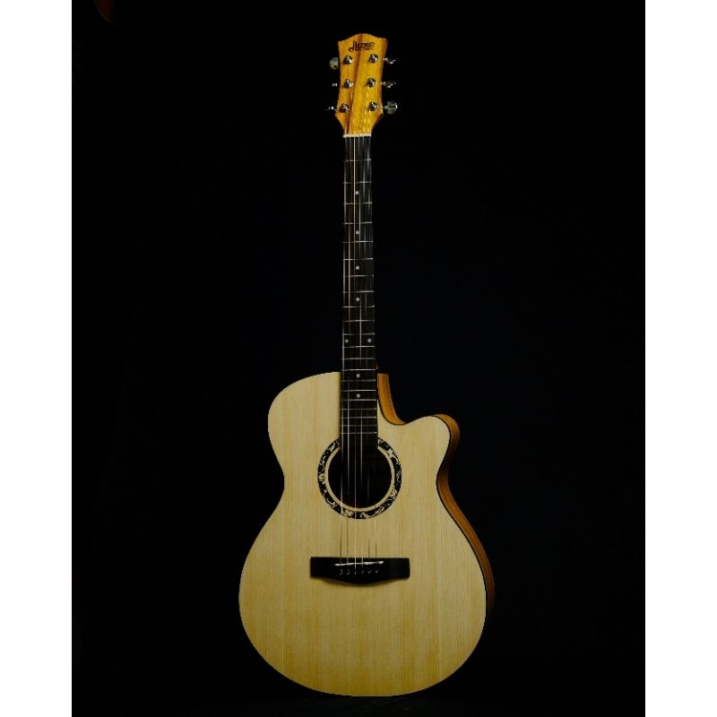 GITAR AKUSTIK/AKUSTIK ELEKTRIK ORIGINAL PABRIK DLUXE DF100